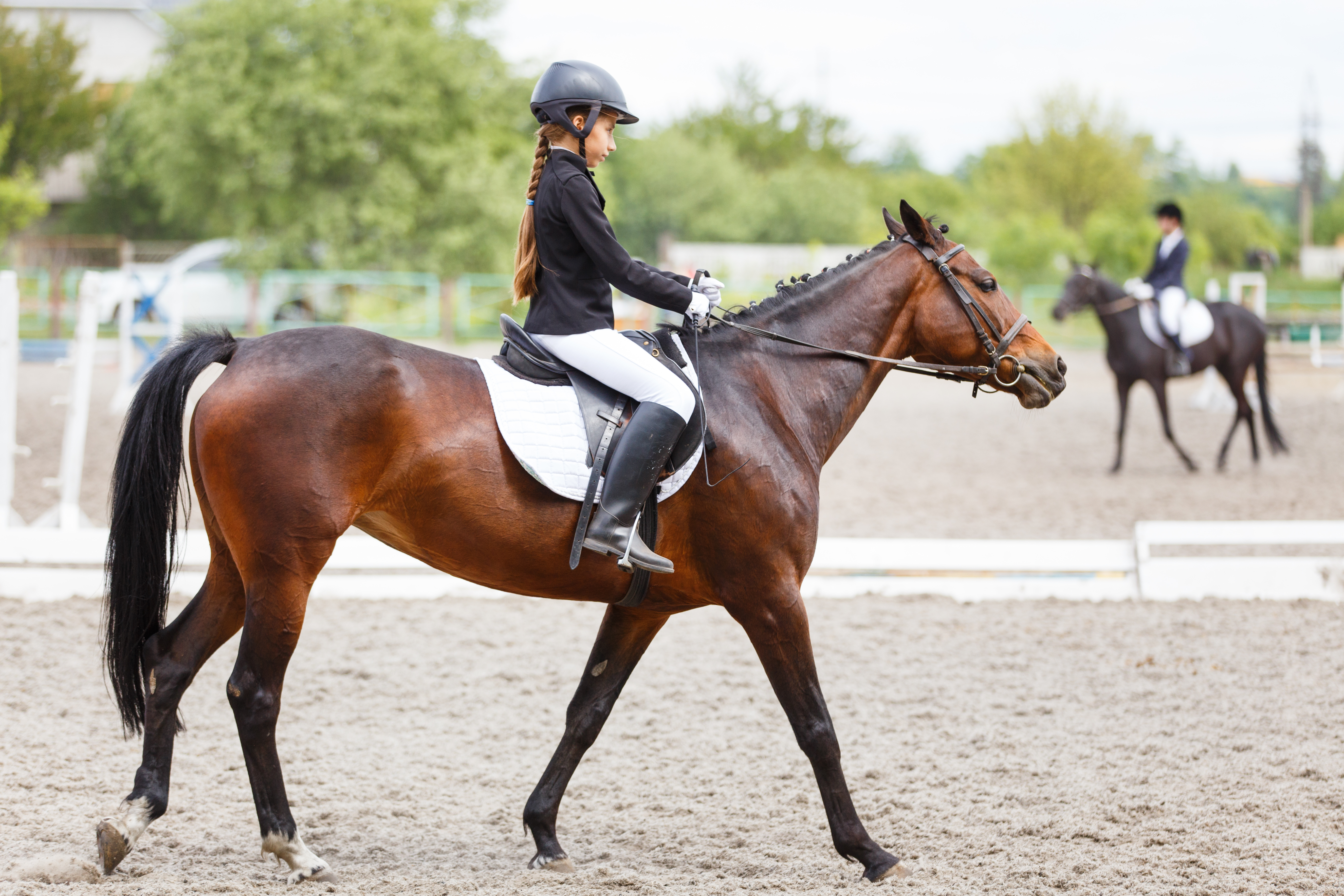 Young teenage girl in helmet riding horse on dressage equestrian competition
