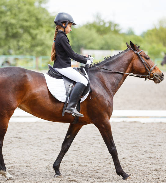 Young teenage girl in helmet riding horse on dressage equestrian competition