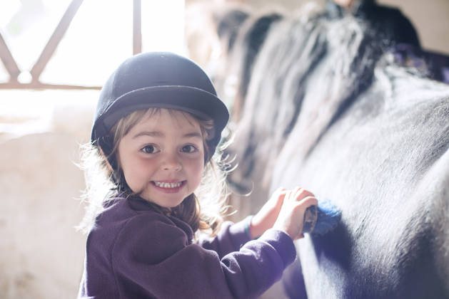 kind kamt pony