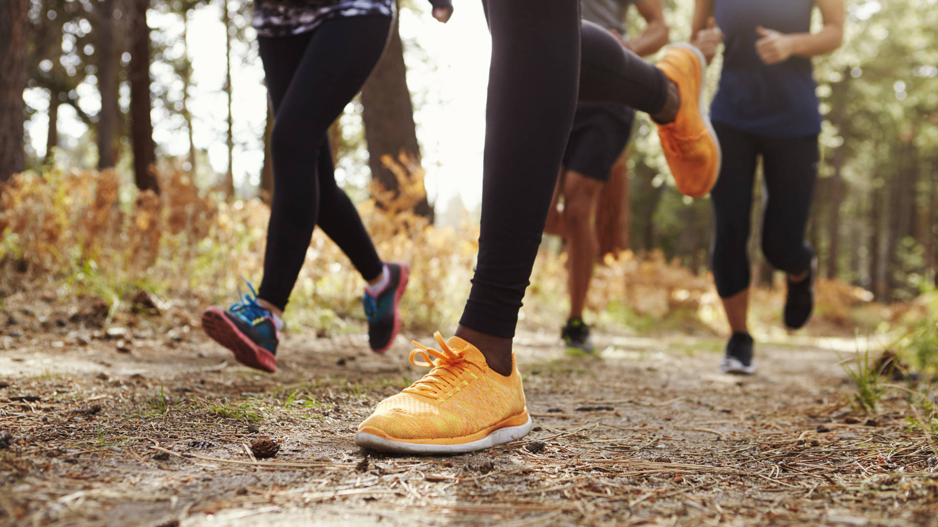 Benen en loopschoenen van groep volwassen lopers in een bos