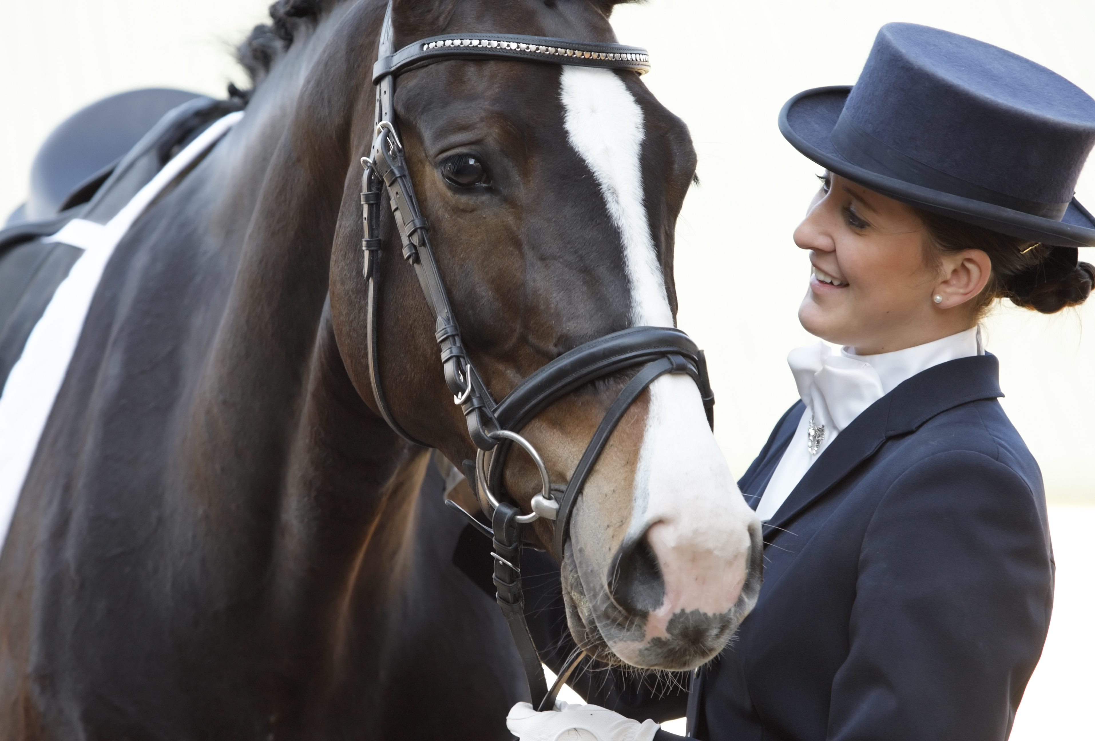 Ruiter naast paard
