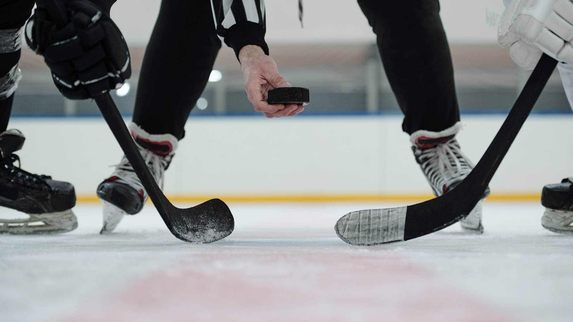 Hand of referee holding puck over ice rink with two players with sticks standing around and waiting for moment to shoot it