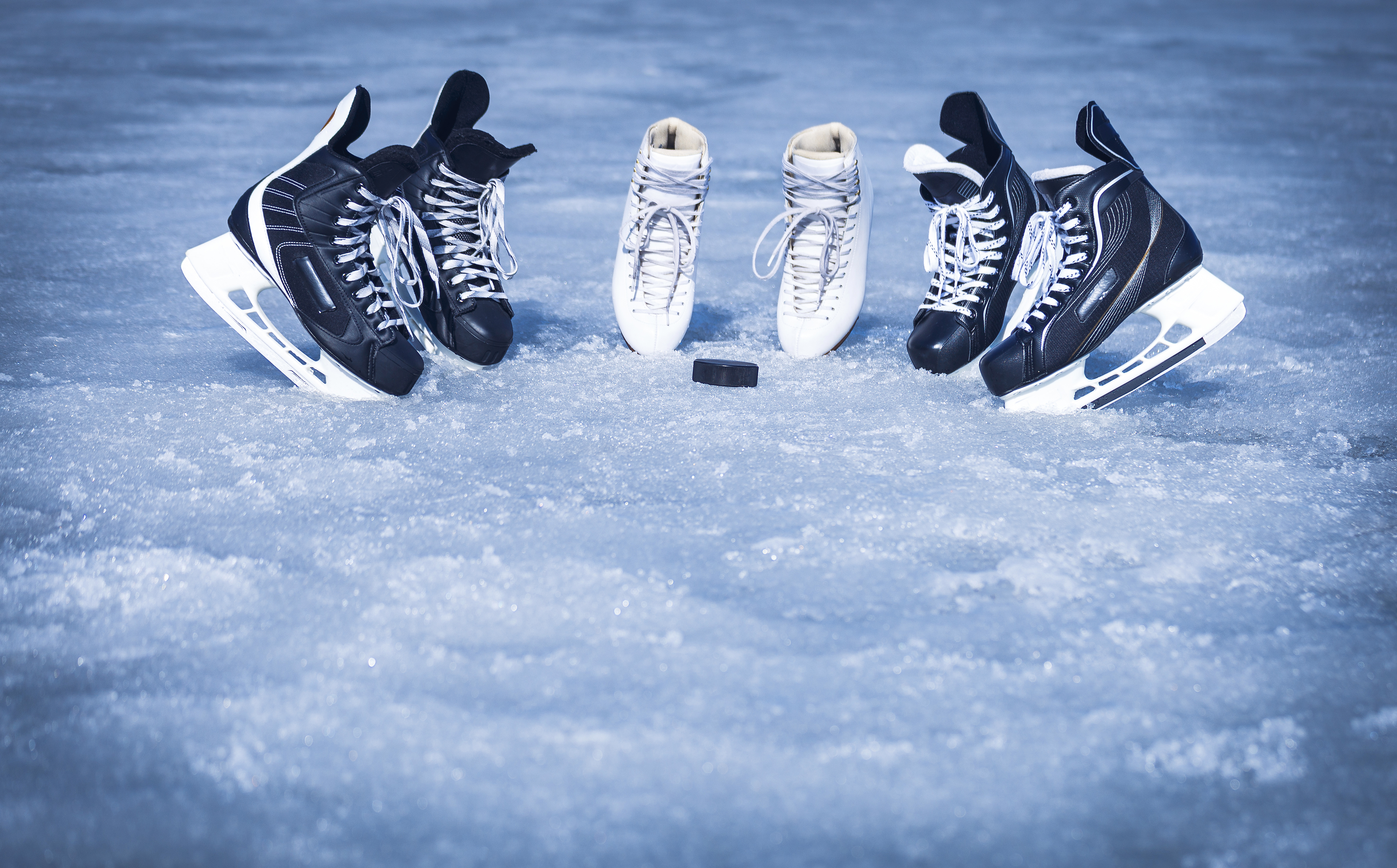 Skates for training in winter sports on ice.