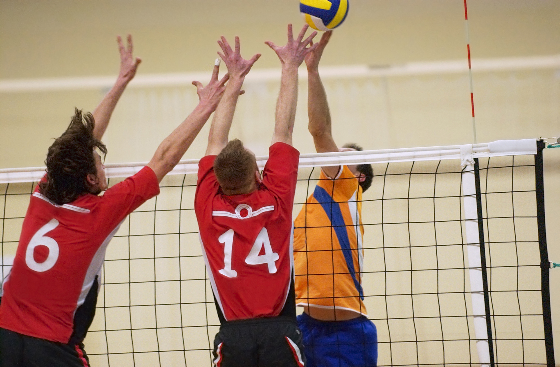 professional volleyball match