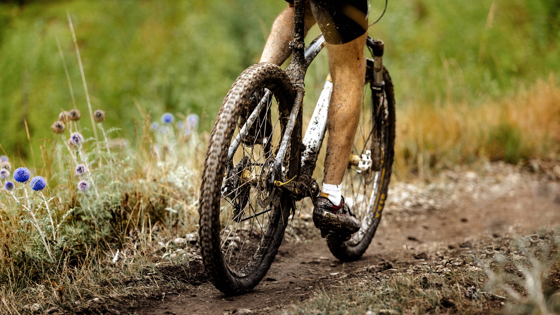 Mountainbikefiets door de velden